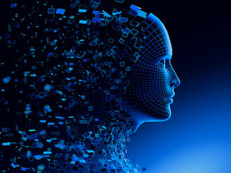 profile of simulated face built from data